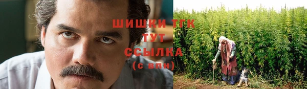 трава Коряжма