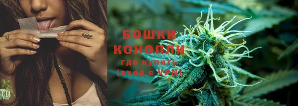 трава Коряжма