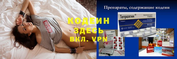 дурь Корсаков