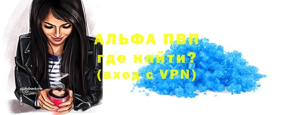 трава Коряжма