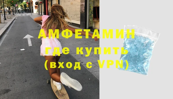 трава Коряжма