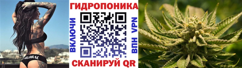 Купить закладки  Бодайбо  Каннабис планчик 